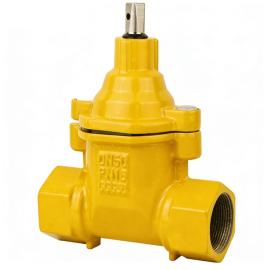 Ductile iron Female end gate valve