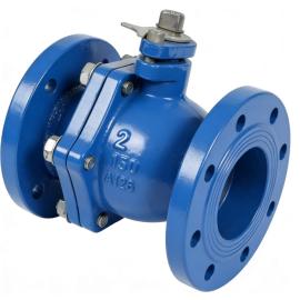 Cast Iron ANSI Ball Valve