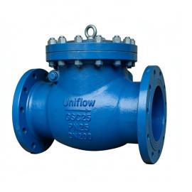 DIN3202 F6  PN25 Cast Steel Swing Check Valve DN200
