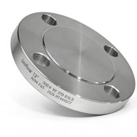 A694 F42 F52 F60 F70 F80 Cryogetic Alloy Steel Flange 