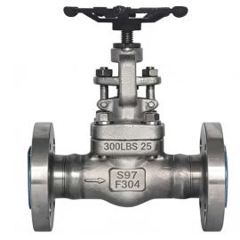 CL300 API 602 Globe Valve