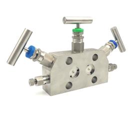 Coplanar 3 Way Manifold Valve